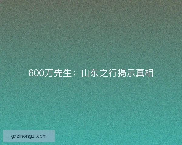 600万先生：山东之行揭示真相