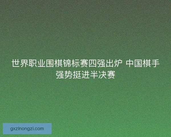 世界职业围棋锦标赛四强出炉 中国棋手强势挺进半决赛