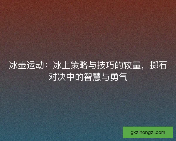 冰壶运动：冰上策略与技巧的较量，掷石对决中的智慧与勇气