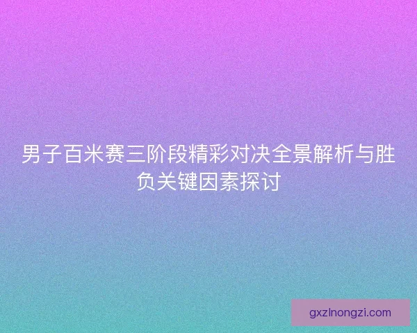 男子百米赛三阶段精彩对决全景解析与胜负关键因素探讨