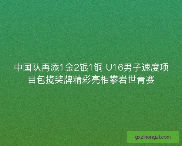 中国队再添1金2银1铜 U16男子速度项目包揽奖牌精彩亮相攀岩世青赛