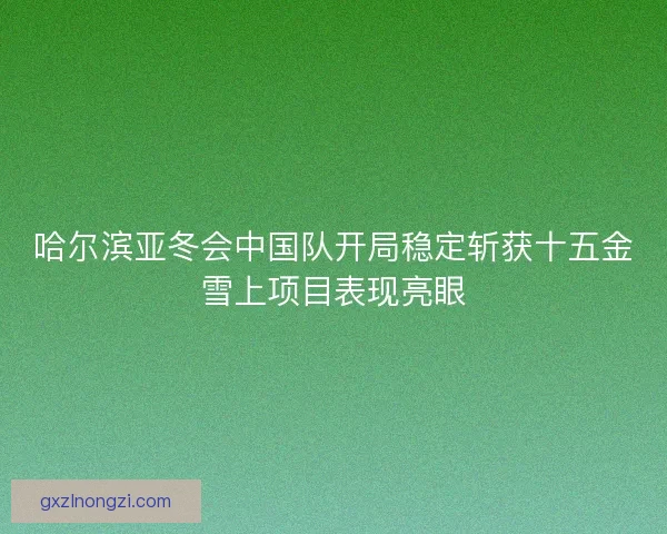 哈尔滨亚冬会中国队开局稳定斩获十五金雪上项目表现亮眼