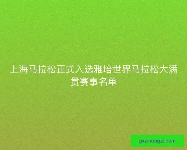 上海马拉松正式入选雅培世界马拉松大满贯赛事名单