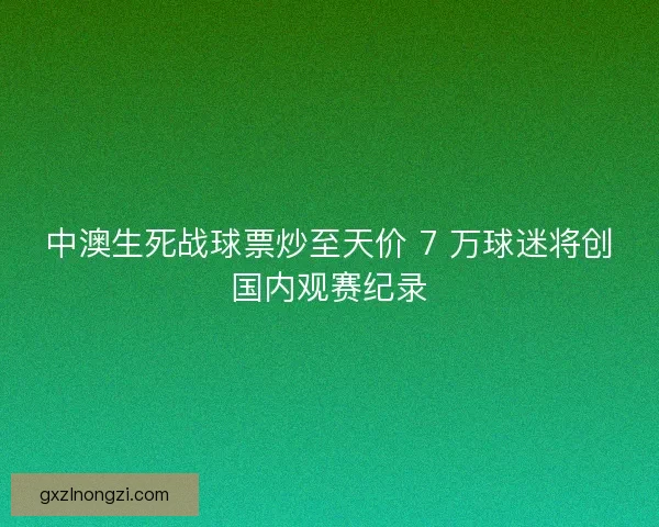 中澳生死战球票炒至天价 7 万球迷将创国内观赛纪录