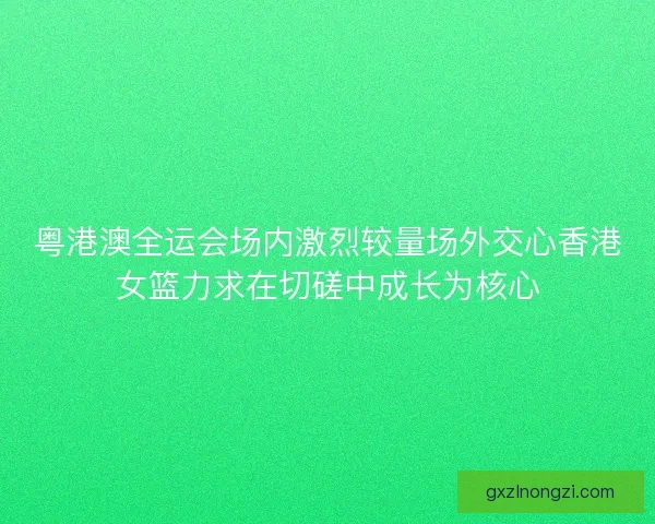 粤港澳全运会场内激烈较量场外交心香港女篮力求在切磋中成长为核心