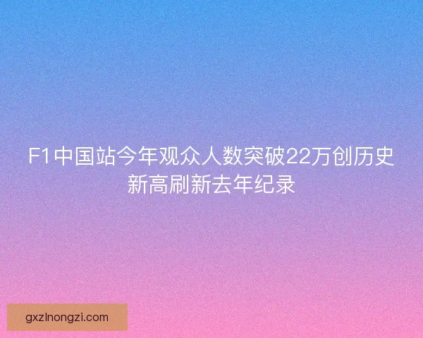 F1中国站今年观众人数突破22万创历史新高刷新去年纪录